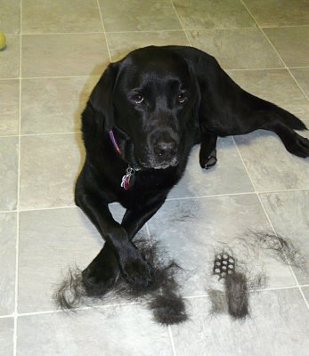What hair?