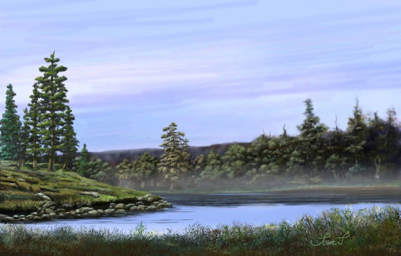 Wetland