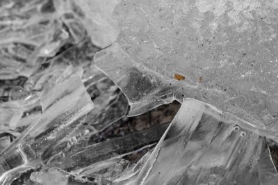 ice II