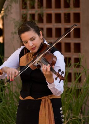 Mariachi-Pasion Image 5