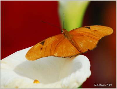 dbg_031508x 274a.jpg