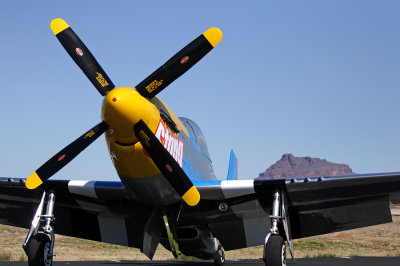 P-51 Mustang_3415sm.jpg