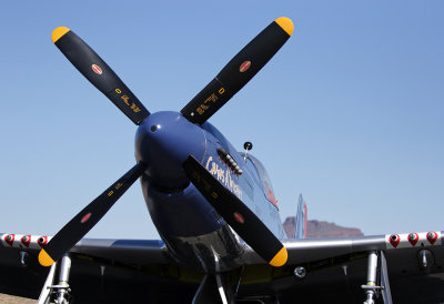 P-51 Mustang_3418sm.jpg
