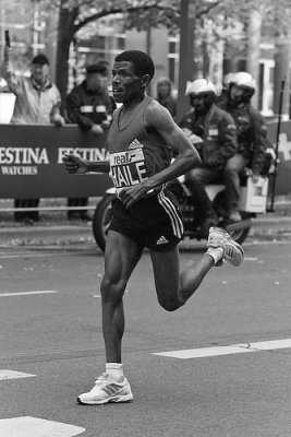 2662013512_f37e0dc6cc.jpg