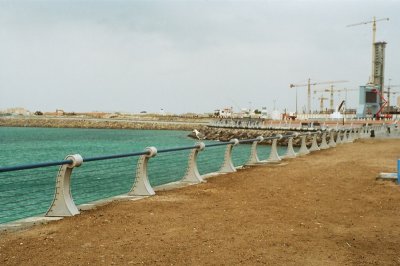 ABU DHABI MARINA EXTENSION WORK