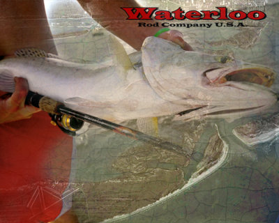 kyle and trout waterloolg.jpg