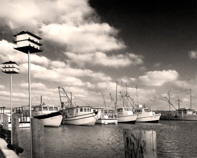 Fishing Boats in Seadrift, Texas