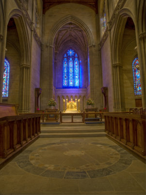 cathedral of light