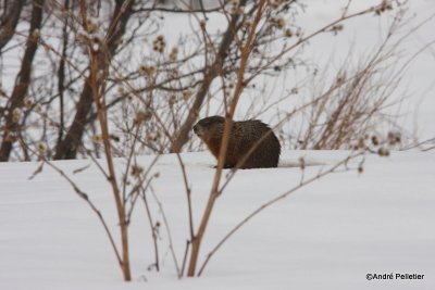 IMG_7677.JPG