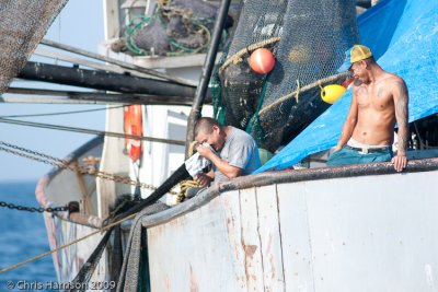 Shrimp TrawlerGulf of Mexico