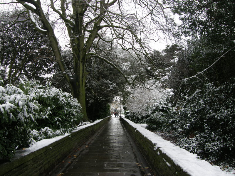 Snowy Park in Clifton