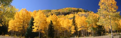 Aspen Panorama