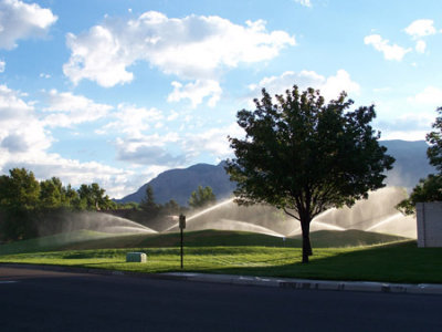 From the Street, Tanoan, Golf course, Early Morning