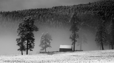 Valles-Caldera Morning