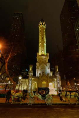 A-Open-Old Chicago Water Tower.jpg