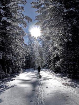 AA-Open-Winter Solitude.jpg