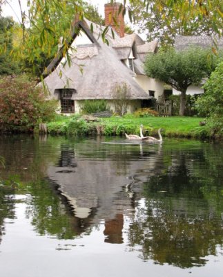 B-Open-Swan Cottage.jpg