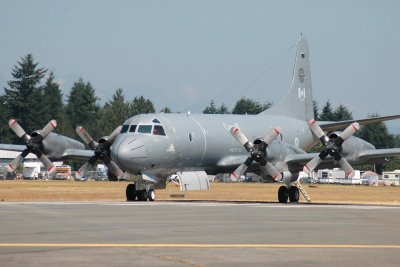 DSC_0774.JPG