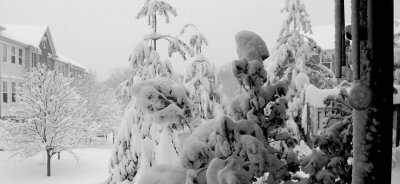 Feb5snow.004.jpg