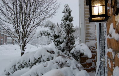Feb5snow.015.jpg