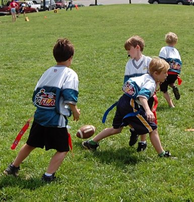 w2.Eagles029.JPG