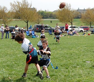 w2.Eagles033.JPG