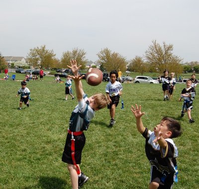 w2.Eagles038.JPG