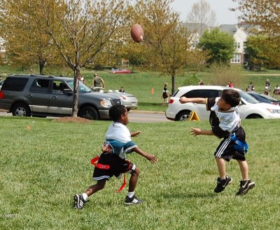 w2.Eagles039.JPG