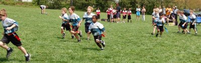 w2.Eagles057.JPG