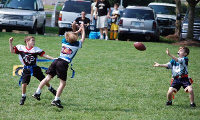 Eagles.w4.094.JPG