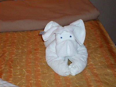 First night towel animal.... ARF
