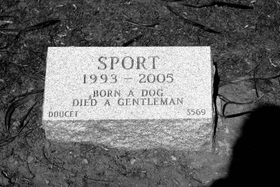 sport;                                                       born a dog, died a gentleman