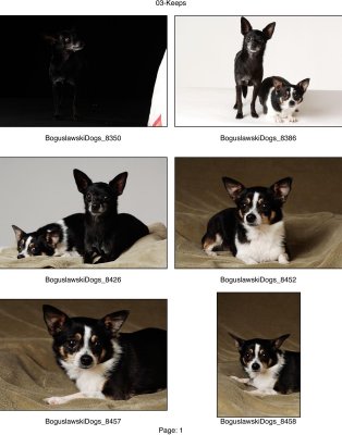 Boguslawski_Dogs_Keeps-1.jpg