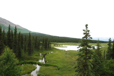 Scenery 02.jpg