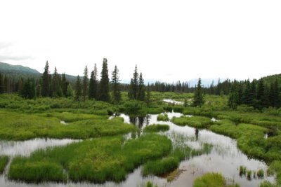 Scenery 03.jpg