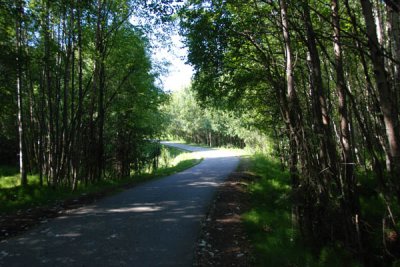 Scenery 10.jpg
