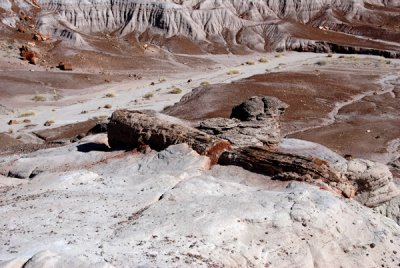 Painted Desert 07.jpg