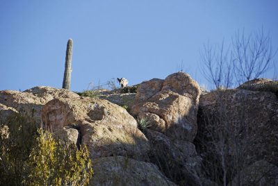 apache_lake_1-09