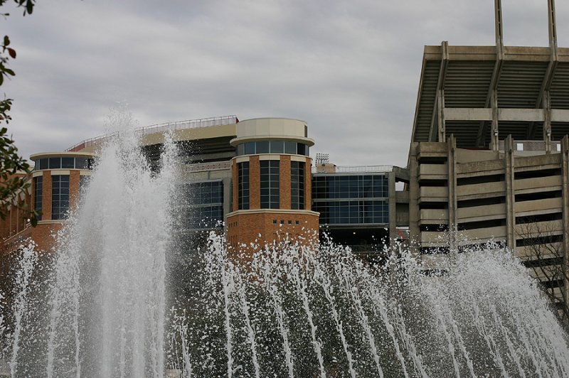 austin2008_016.jpg