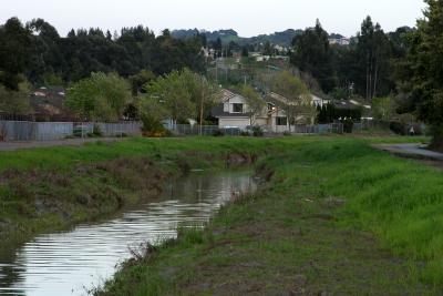 CRW_2716.jpg