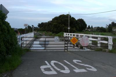 CRW_2719.jpg
