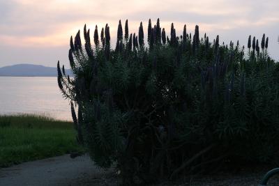 CRW_2724.jpg