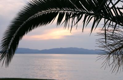 CRW_2732.jpg