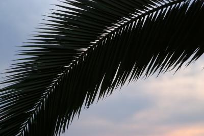 CRW_2740.jpg