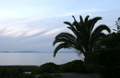 CRW_2730.jpg
