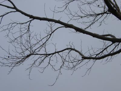 d0903.JPG