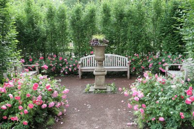 GVD2010_079.jpg