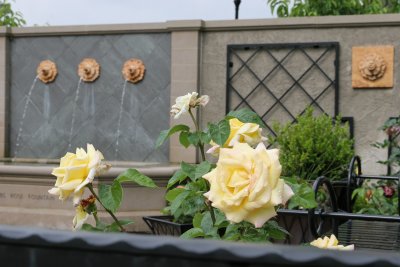 GVD2010_084.jpg