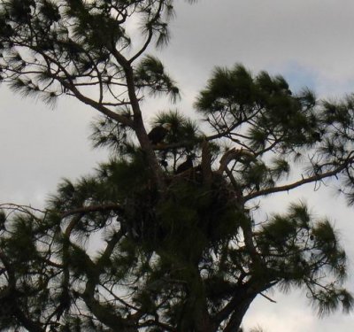 bobs_fl_visit_2010