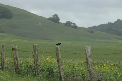 on Hicks Valley Road